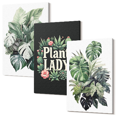 Sada 3 obrazů Tropické rostliny s nápisem Plant Lady v zelené barvě