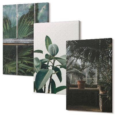 Sada 3 obrazů Zelené listy na okně a rostliny uvnitř