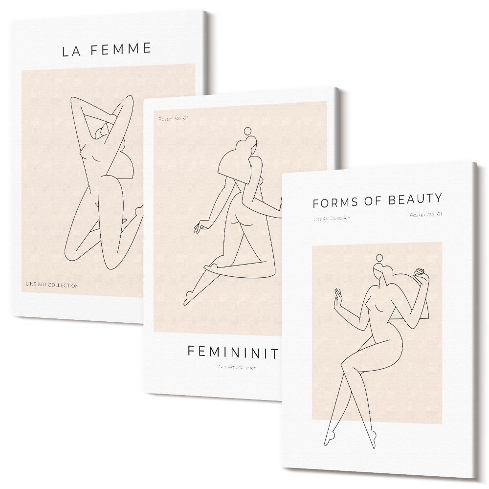 Sada 3 obrazů Lineární siluety žen v minimalistických plakátech
