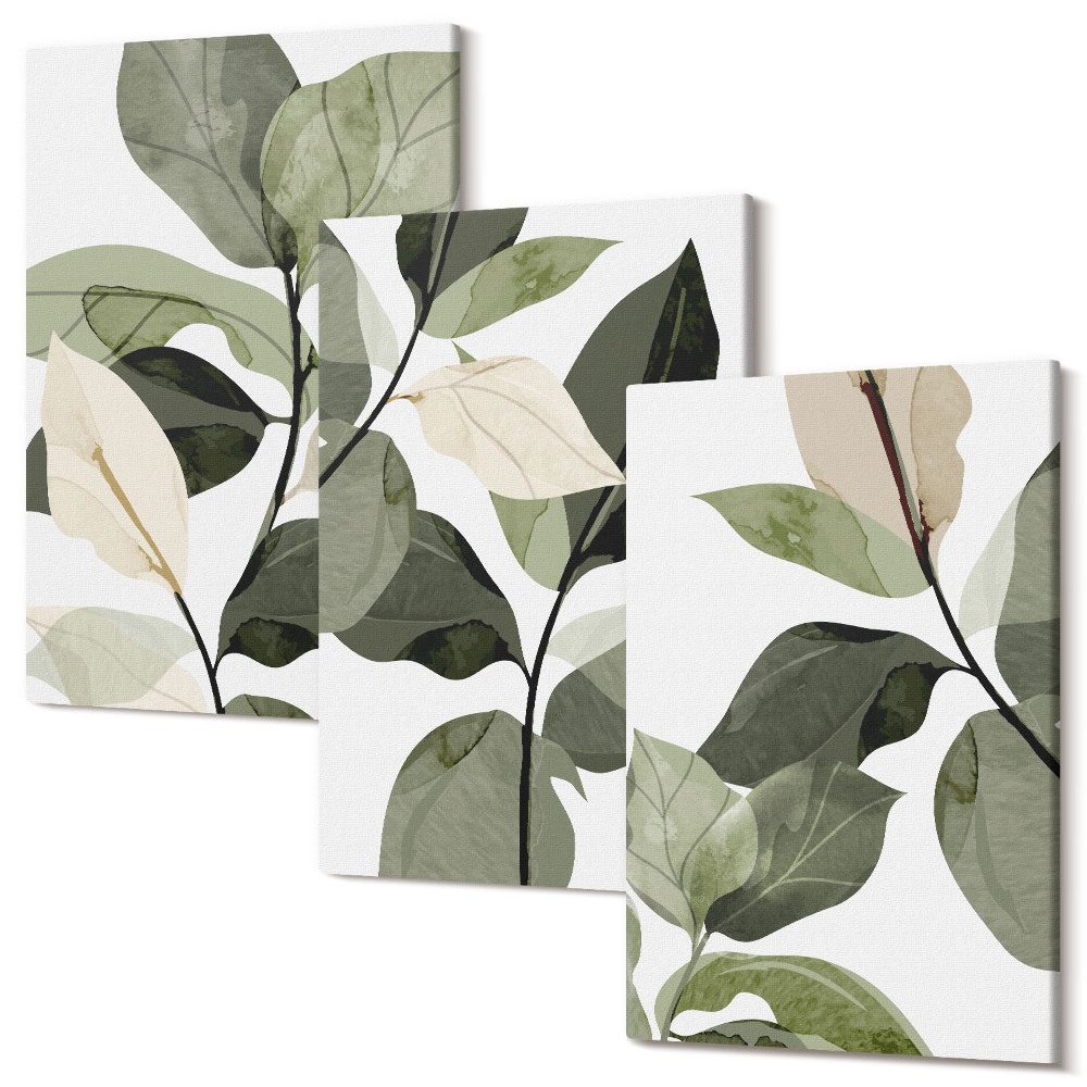 Sada 3 obrazů Malované jemné listy boho rostlin