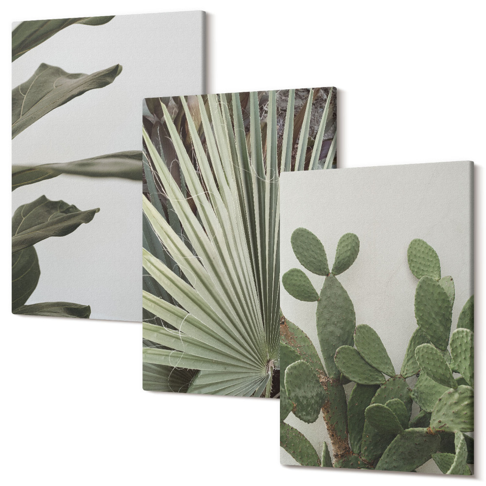 Sada 3 obrazů Listy tropických rostlin v pastelových barvách