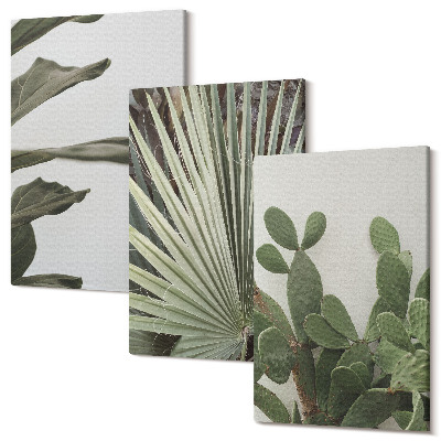 Sada 3 obrazů Listy tropických rostlin v pastelových barvách
