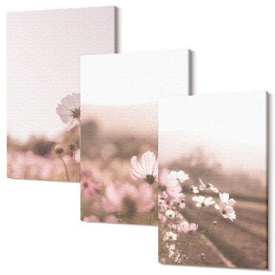 Sada 3 obrazů Květiny na loukách v létě, romantické krajiny
