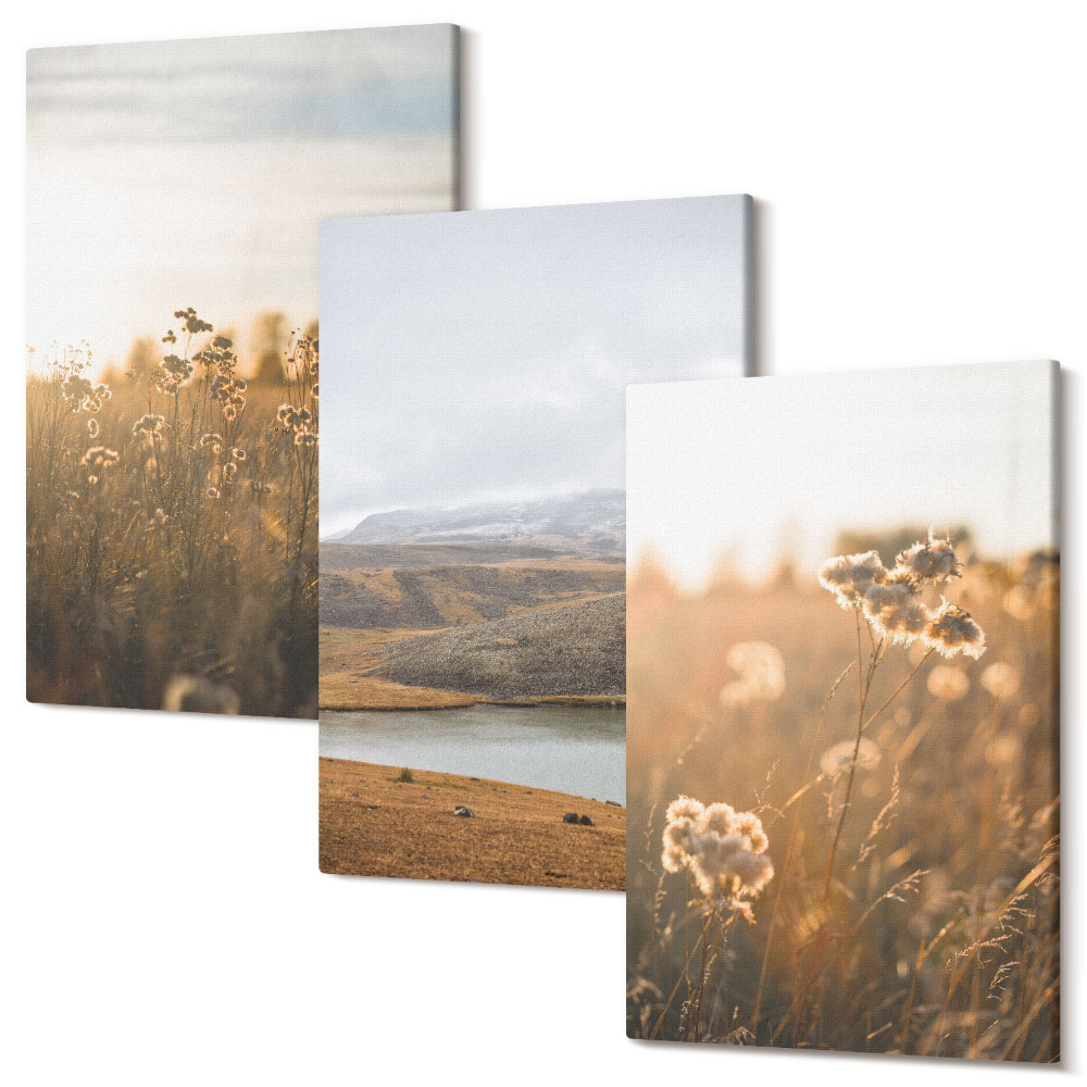 Sada 3 obrazů Krajina s loukami, horami a jezerem v pozadí