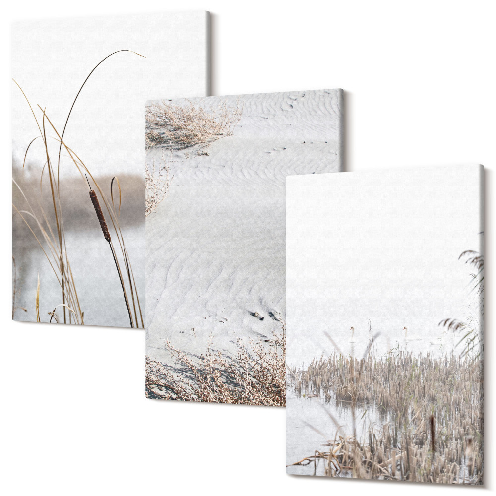 Sada obrazů triptych Jemné letní výhledy na vodní vegetaci