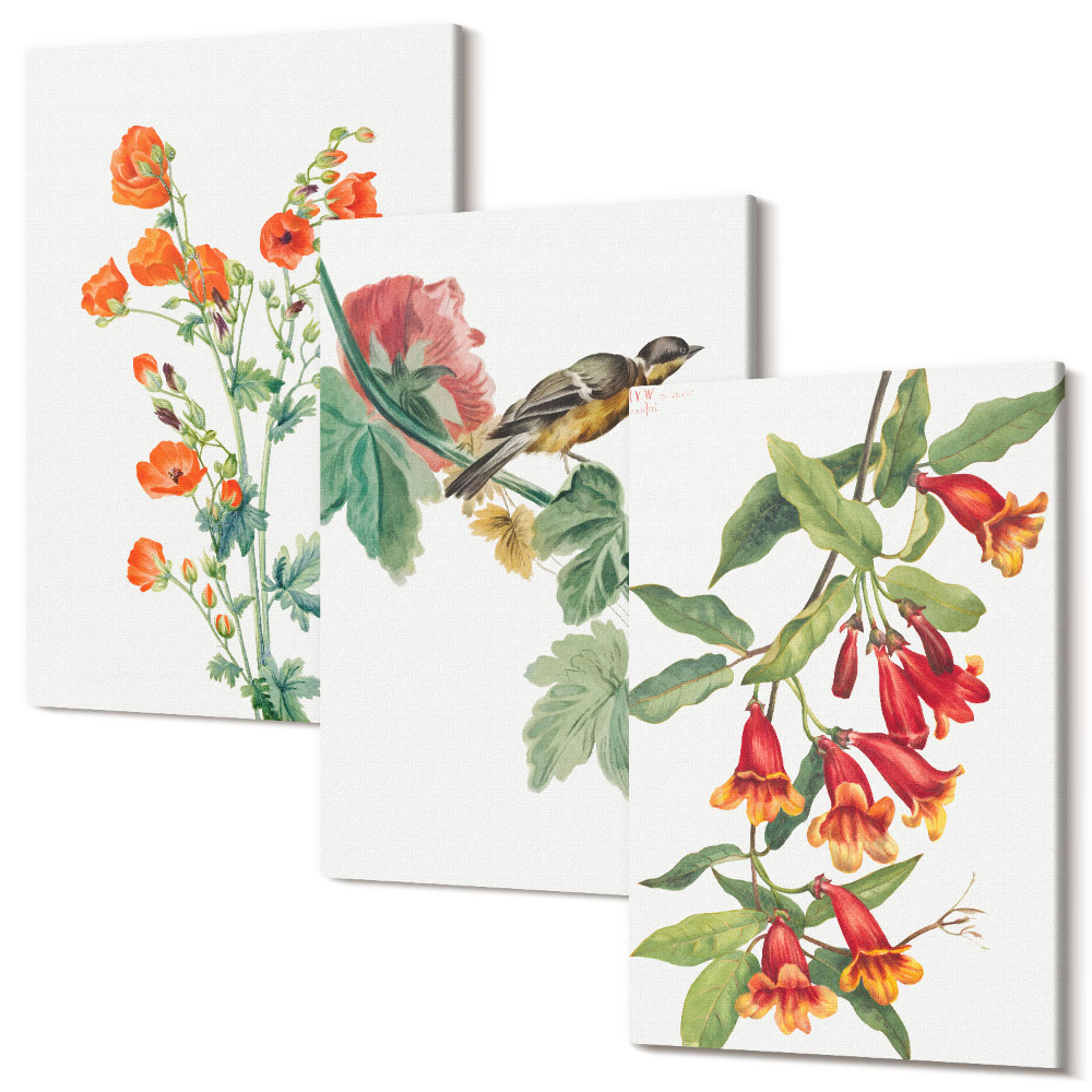 Sada 3 obrazů Malované retro květiny a pták na větvi