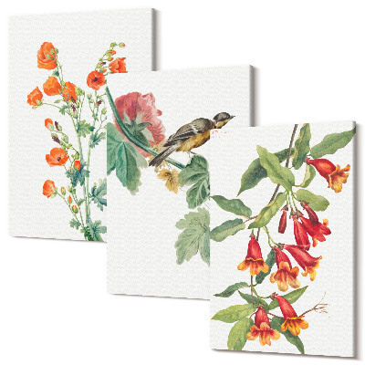 Sada 3 obrazů Malované retro květiny a pták na větvi