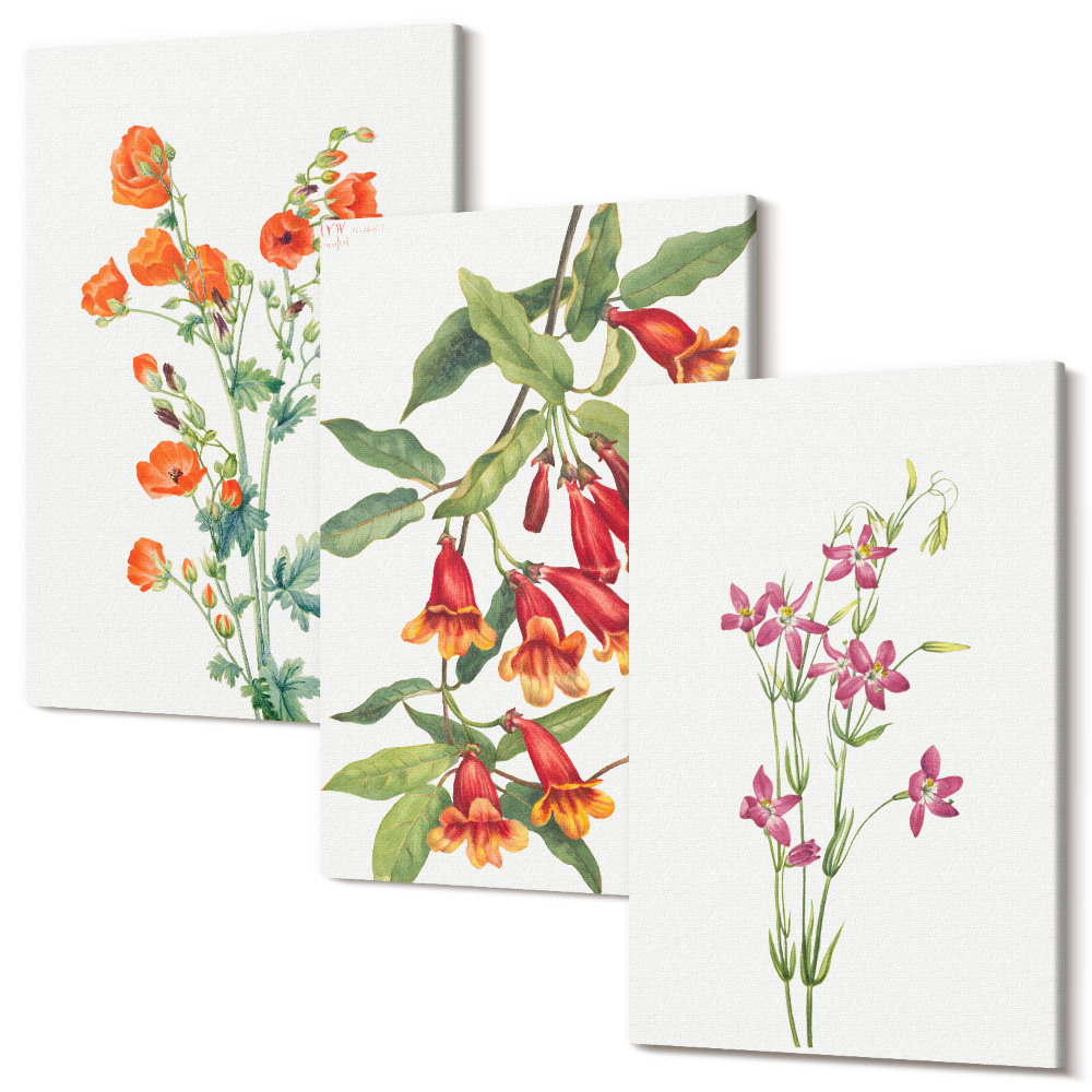 Sada obrazů triptych Vintage retro květinová malba