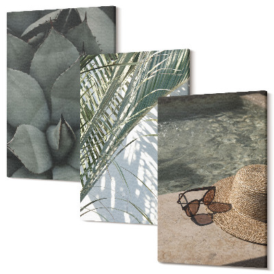 Sada obrazů na zeď triptych Tropické rostliny a letní prázdninové akcenty