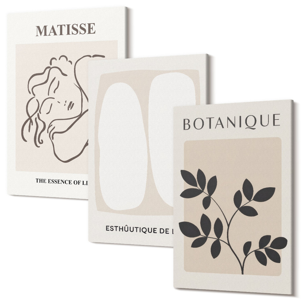 Sada 3 obrazů Stylové minimalistické obrazy s rostlinnými motivy od Matisse