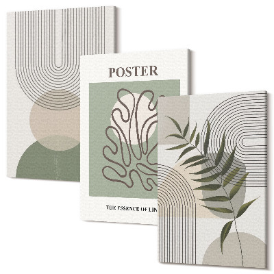 Sada 3 obrazů Geometrické abstraktní botanické vzory plakát