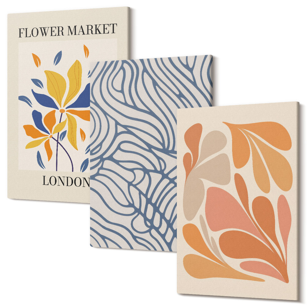 Sada 3 obrazů Moderní styl květin s abstraktními vzory