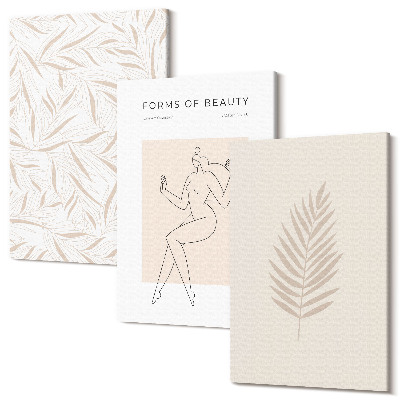 Sada 3 obrazů Minimalistické motivy botanického designu