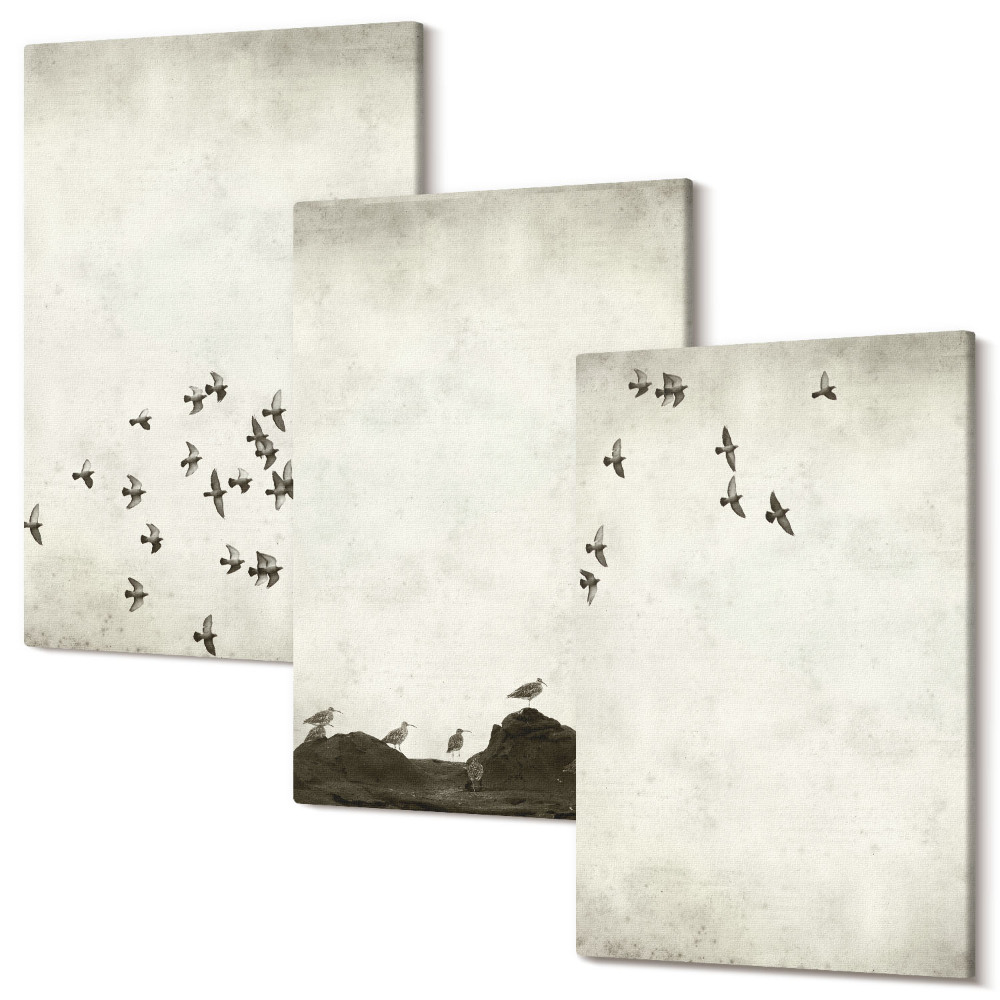 Sada 3 obrazů Ptáci v letu malované v minimalistickém stylu