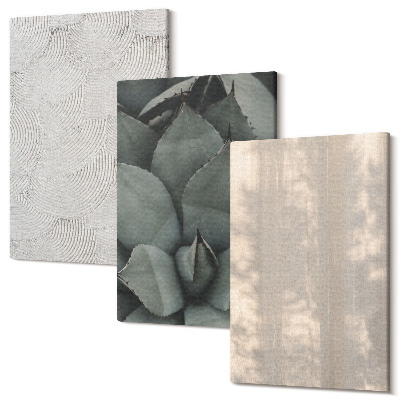 Sada obrazů na zeď triptych Detailní letní textury v tropickém klimatu