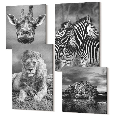 Sada obrazů kvadryptych Divoká zvířata lev jaguár žirafa a zebry