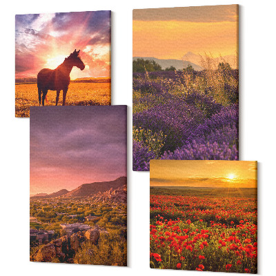 Sada 4 obrazů Horské krajiny s koňmi a levandulovými poli