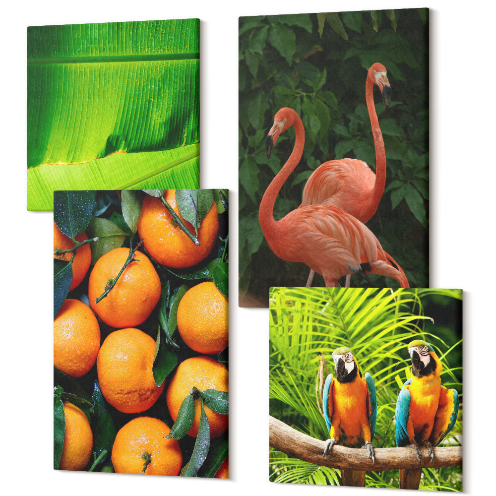 Sada obrazů na zeď kvadryptych Ovocné akcenty s papoušky a plameňáky v tropech