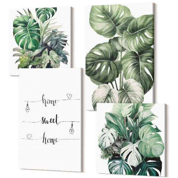 Sada obrazů kvadryptych Akvarel Monstera Leaves Home Sweet Home