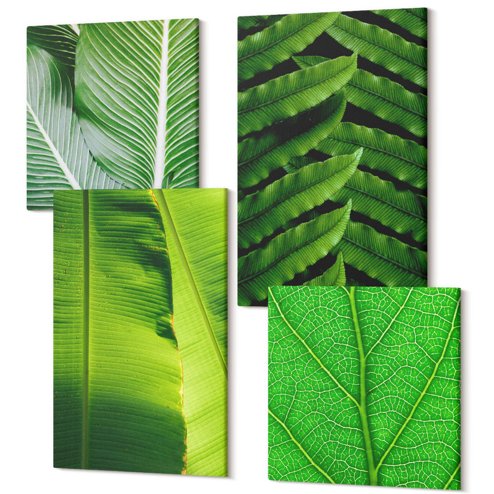 Sada obrazů na zeď kvadryptych Detailní záběry tropických listů