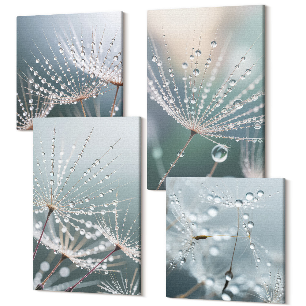 Sada obrazů na zeď kvadryptych Kapky vody na jemných výhoncích pampelišek