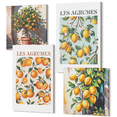 Sada 4 obrazů Ovocné citrusové vzory v pastelových barvách