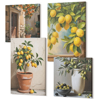 Sada obrazů kvadryptych Citronové stromy v květináčích a vázách