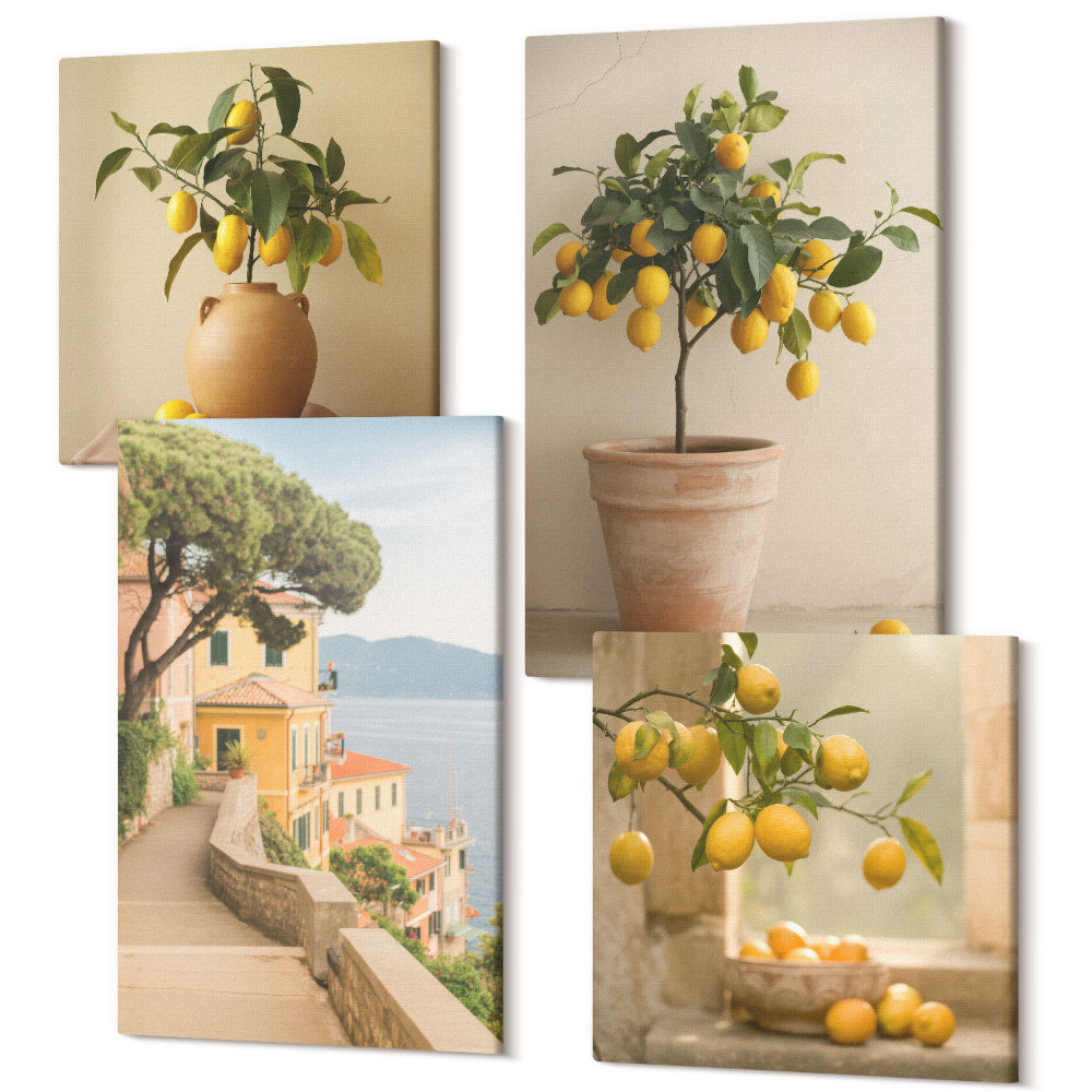 Sada 4 obrazů Citronové stromy v květináčích a na okně