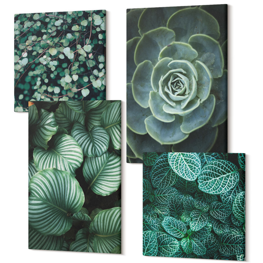 Sada obrazů kvadryptych Zelené listy sukulentních rostlin a jemných větviček