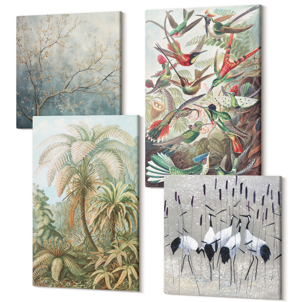 Sada obrazů kvadryptych Tropické rostliny a barevní ptáci v přírodě