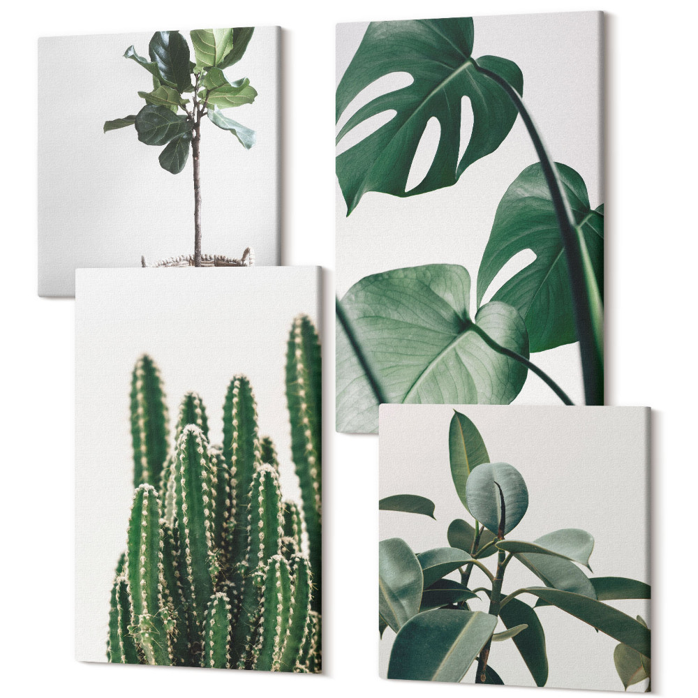 Sada obrazů kvadryptych Tropické pokojové rostliny estetické listy