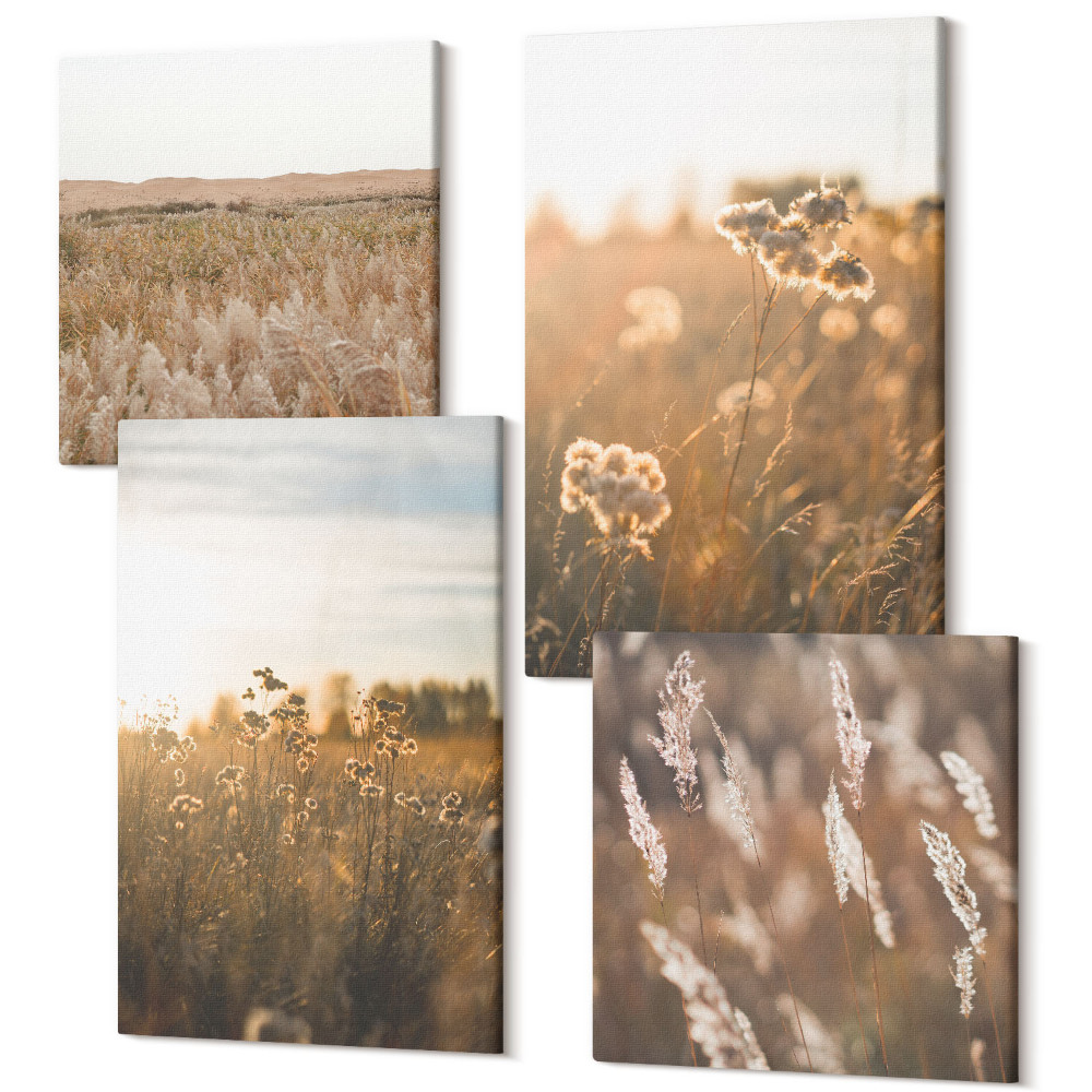 Sada obrazů kvadryptych Letní pohledy na louky a květiny při západu slunce