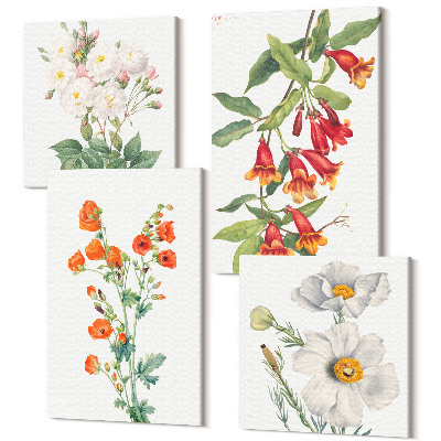 Sada 4 obrazů Květinové kompozice retro vintage obraz