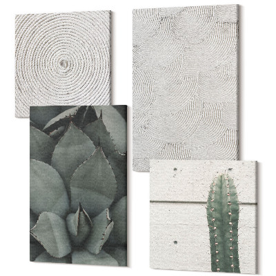 Sada 4 obrazů Detailní letní textury v tropickém klimatu