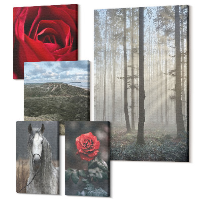 Sada obrazů pentaptych Příroda a květiny v různých pohledech a stylech