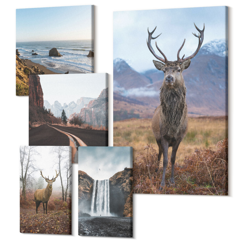 Sada 5 obrazů Příroda a divoká zvířata v malebné krajině