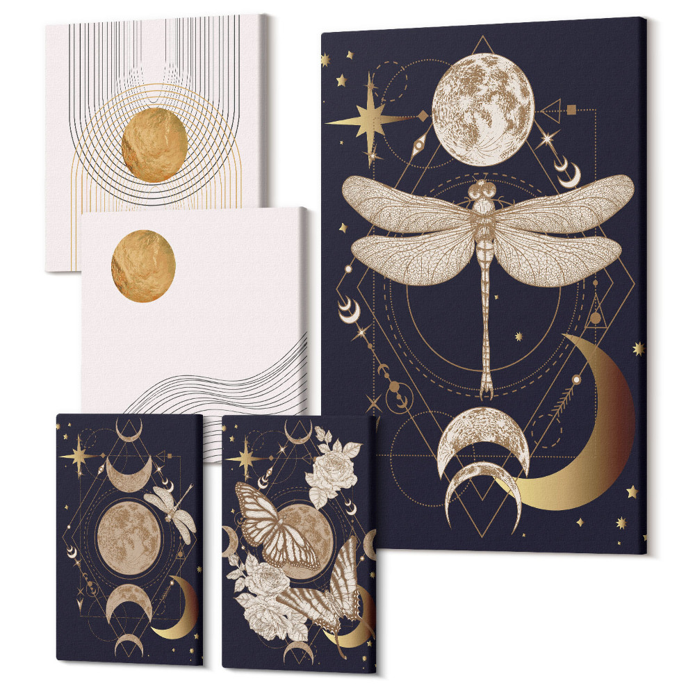 Sada 5 obrazů Stylové vesmírné motivy s hmyzem a geometrickými vzory