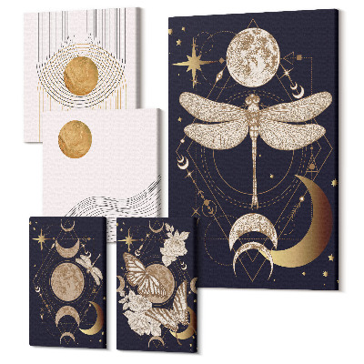 Sada 5 obrazů Stylové vesmírné motivy s hmyzem a geometrickými vzory