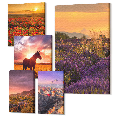 Sada 5 obrazů Venkovní přírodní krajiny s koňmi a květinami