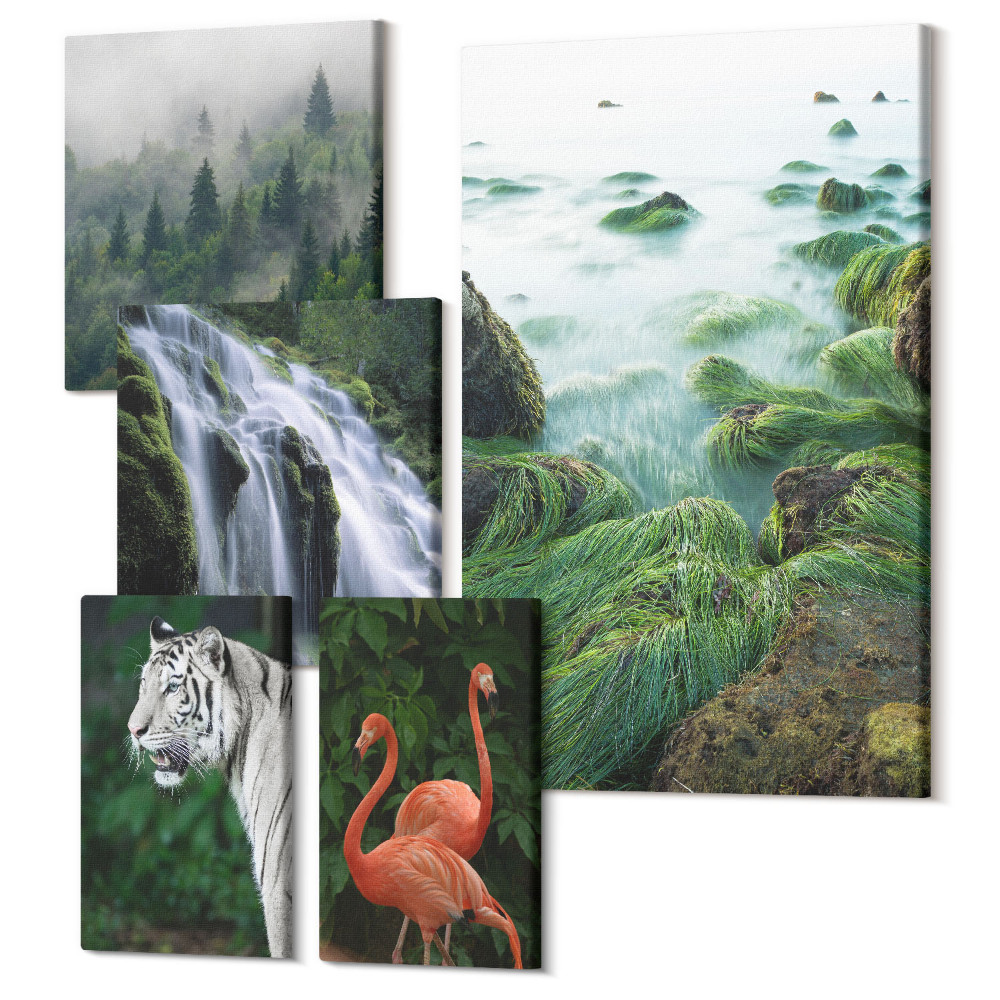 Sada 5 obrazů Příroda v jejích různých podobách s divokými zvířaty a krajinou