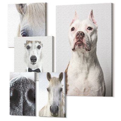 Sada obrazů pentaptych Portréty domácích mazlíčků v moderním stylu