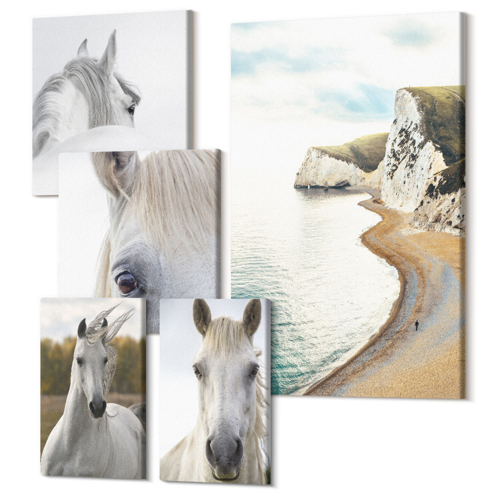 Sada 5 obrazů Koně na pláži i v přírodě v minimalistickém stylu