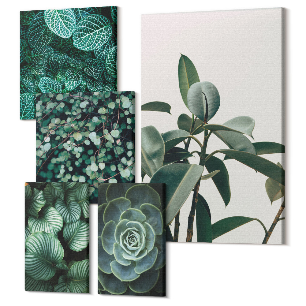 Sada obrazů pentaptych Rostlinné motivy se zelenými listy a sukulenty
