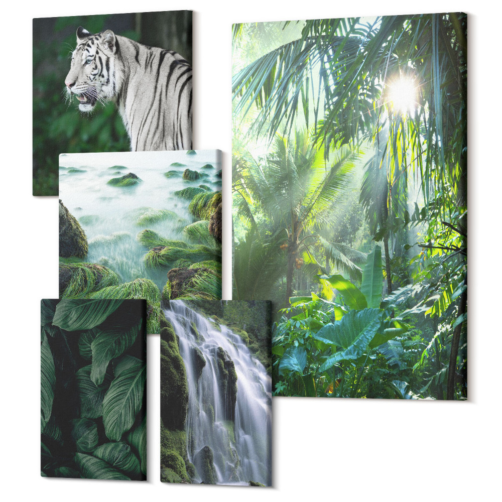 Sada 5 obrazů Tropická příroda s divokými zvířaty a vodopády