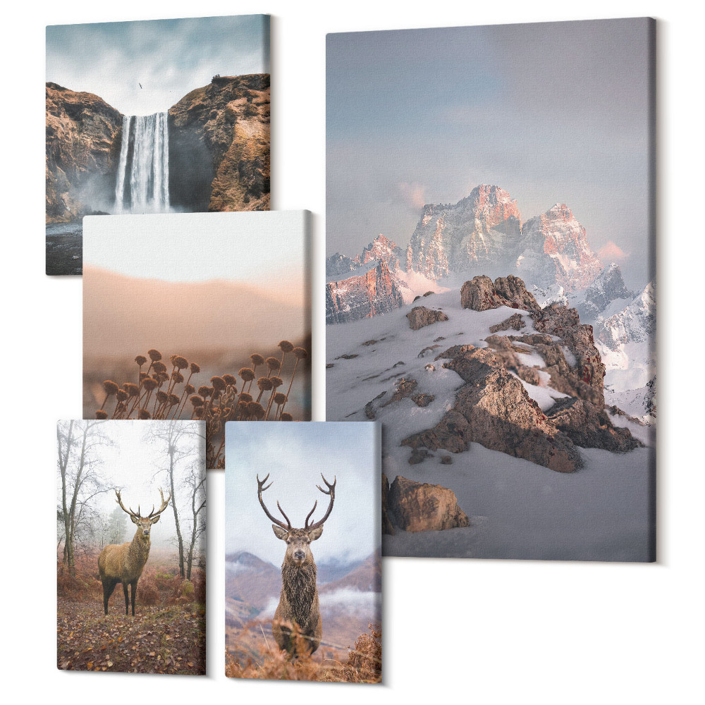 Sada 5 obrazů Horské krajiny s divokou zvěří a zvířaty
