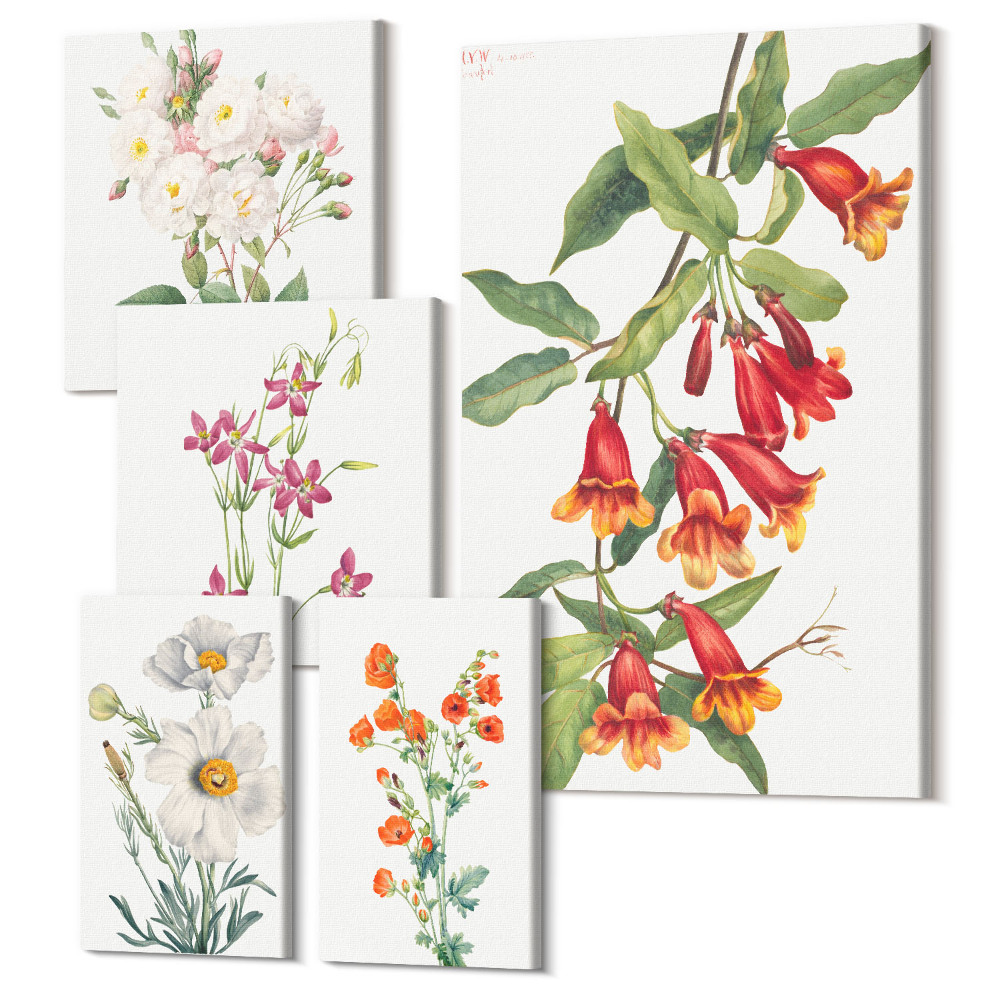 Sada 5 obrazů Botanické květinové motivy na plátně
