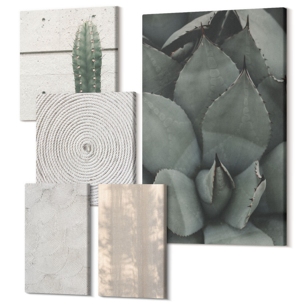 Sada 5 obrazů Detailní letní textury v tropickém klimatu