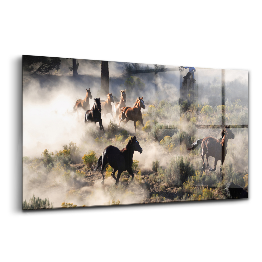 Obraz na skle Stádo uhánějících koní