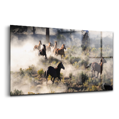 Obraz na skle Stádo uhánějících koní