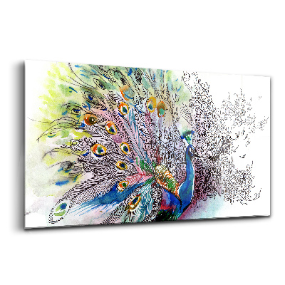 Luxusní skleněný obraz Barevný páv
